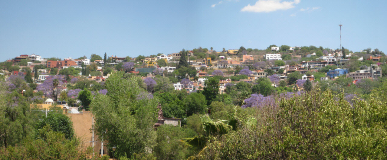 view from Laz Terrazas